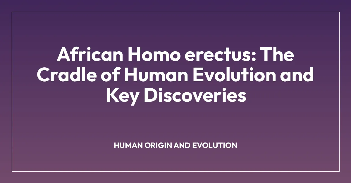 African Homo erectus: The Cradle of Human Evolution and Key Discoveries