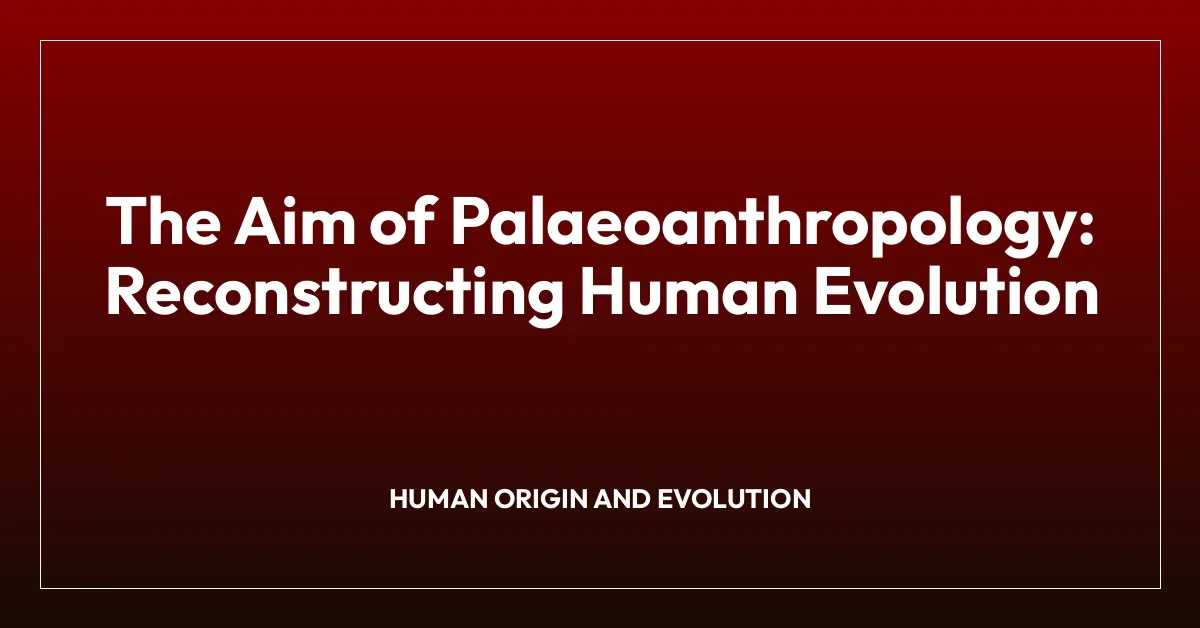 The Aim of Palaeoanthropology: Reconstructing Human Evolution