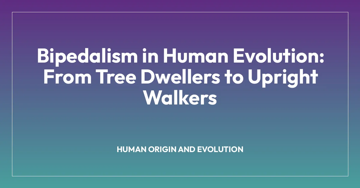 Bipedalism in Human Evolution: From Tree Dwellers to Upright Walkers