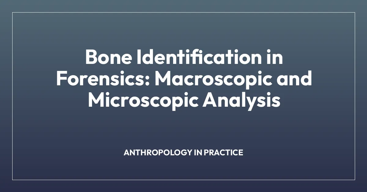 Bone Identification in Forensics: Macroscopic and Microscopic Analysis