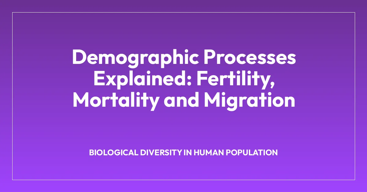 Demographic Processes Explained: Fertility, Mortality and Migration
