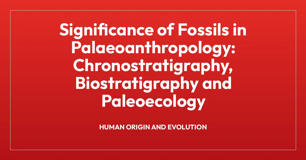 Significance of Fossils in Palaeoanthropology: Chronostratigraphy, Biostratigraphy and Paleoecology