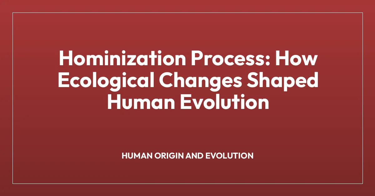 Hominization Process: How Ecological Changes Shaped Human Evolution