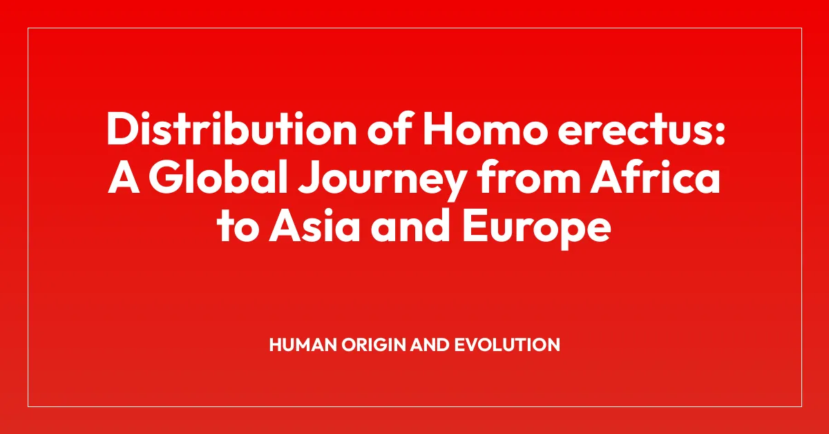 Distribution of Homo erectus: A Global Journey from Africa to Asia and Europe