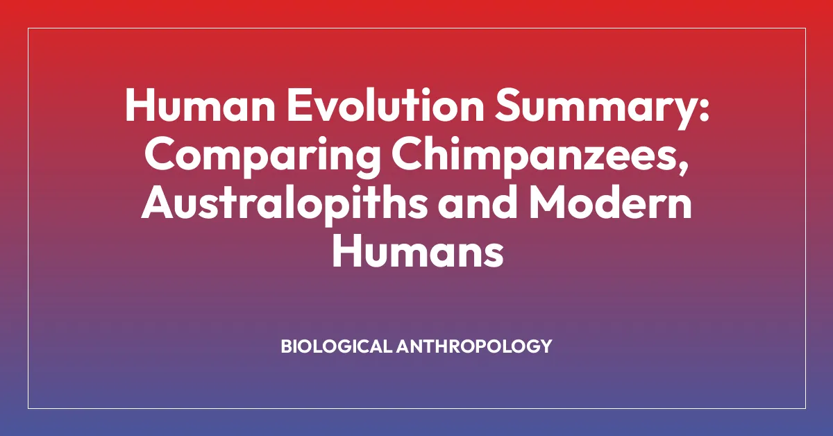 Human Evolution Summary: Comparing Chimpanzees, Australopiths and Modern Humans