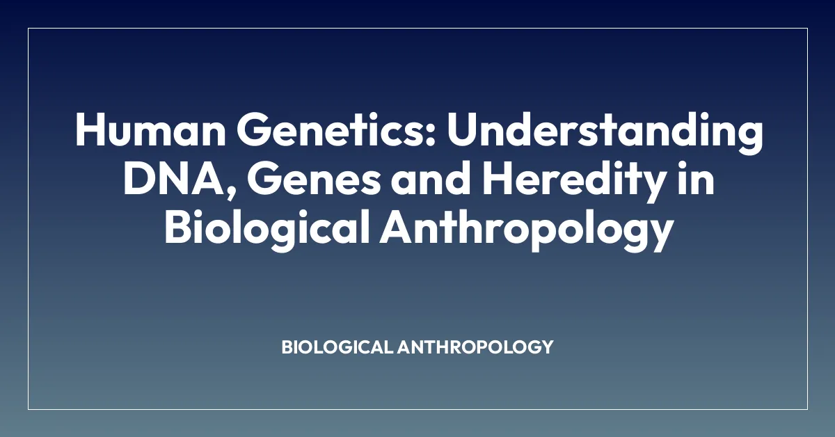 Human Genetics: Understanding DNA, Genes and Heredity in Biological Anthropology