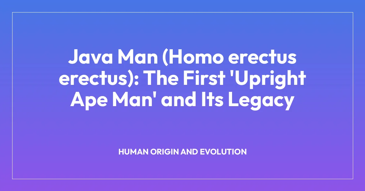 Java Man (Homo erectus erectus): The First ‘Upright Ape Man’ and Its Legacy