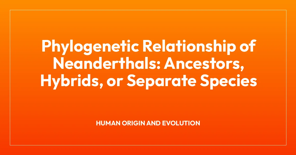 Phylogenetic Relationship of Neanderthals: Ancestors, Hybrids, or Separate Species