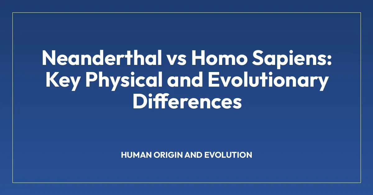 Neanderthal vs Homo Sapiens: Key Physical and Evolutionary Differences