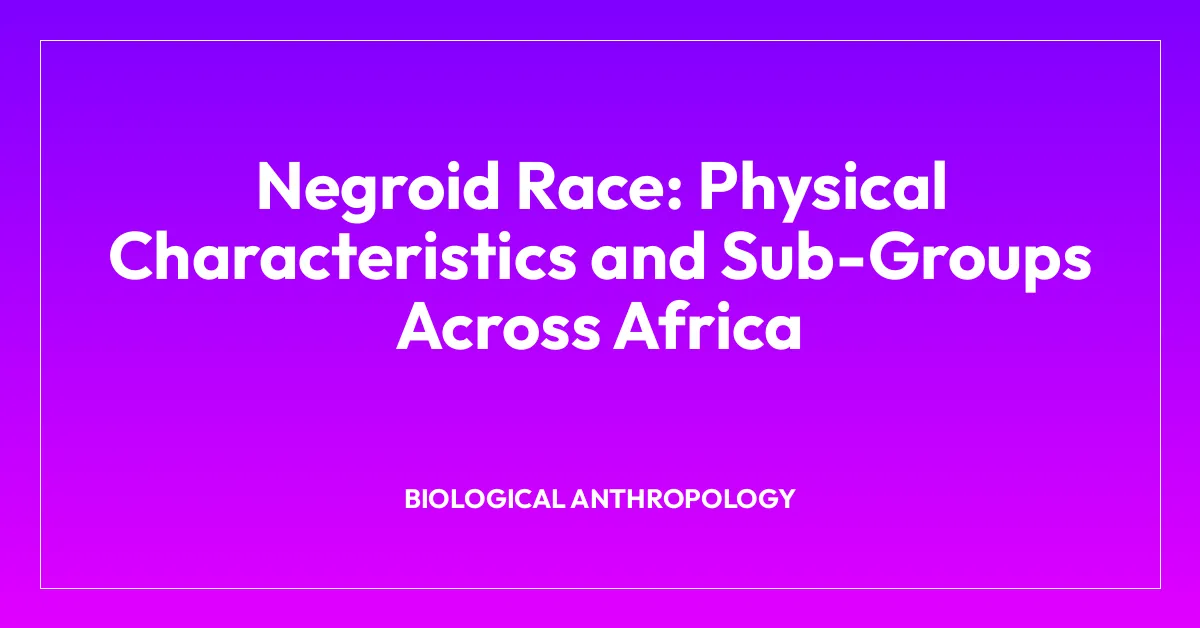 Negroid Race: Physical Characteristics and Sub-Groups Across Africa