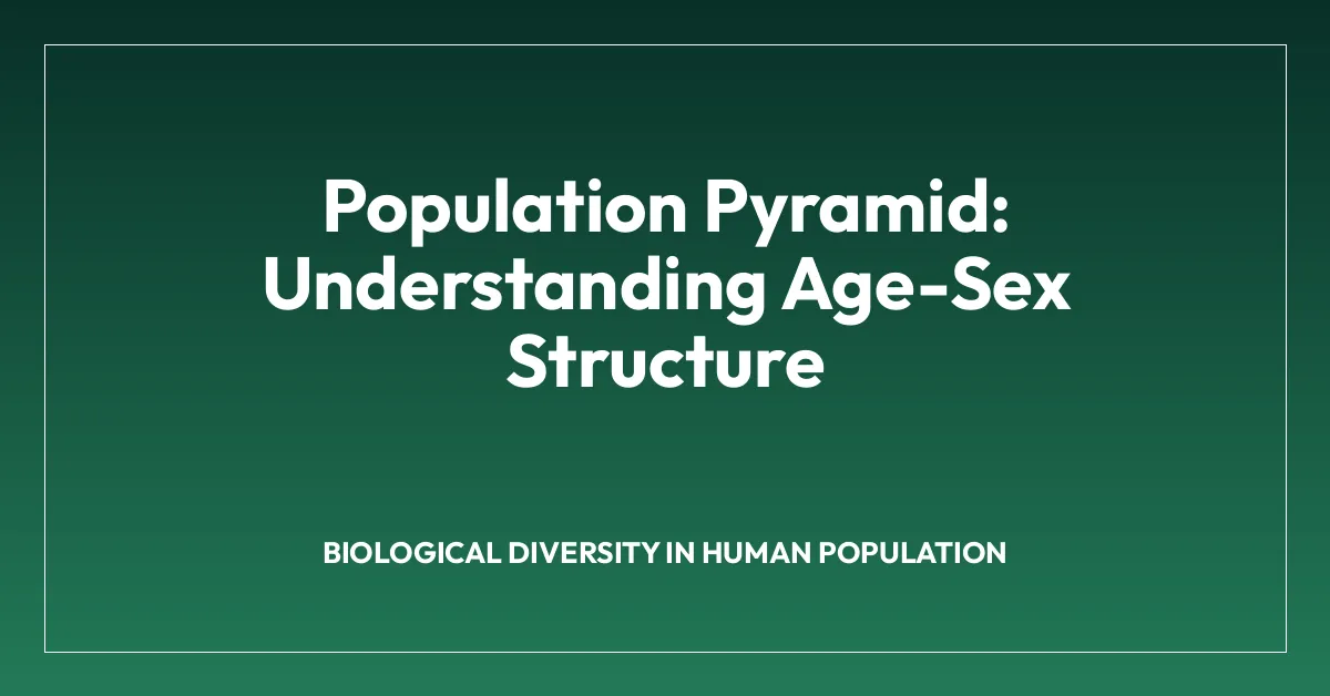 Population Pyramid: Understanding Age-Sex Structure