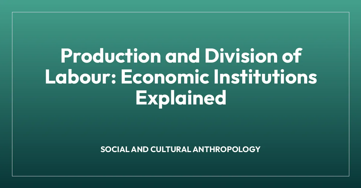 Production and Division of Labour: Economic Institutions Explained