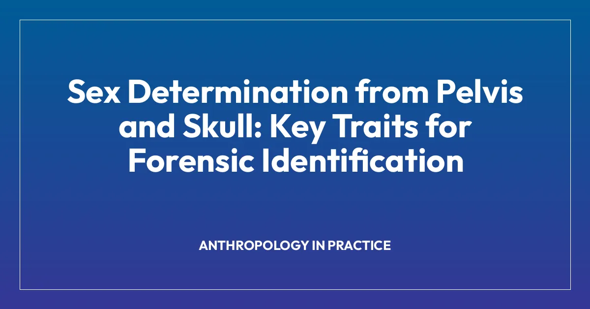 Sex Determination from Pelvis and Skull: Key Traits for Forensic Identification