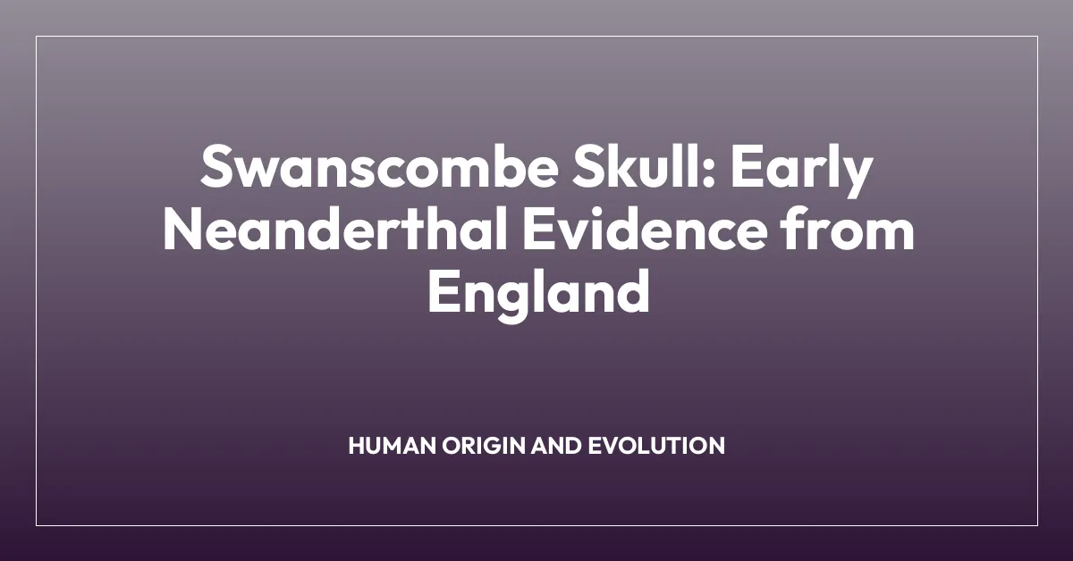 Swanscombe Skull: Early Neanderthal Evidence from England