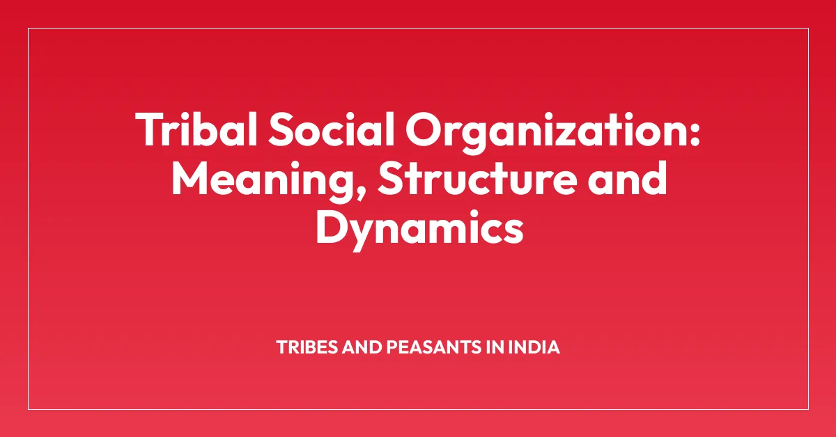Tribal Social Organization: Meaning, Structure and Dynamics